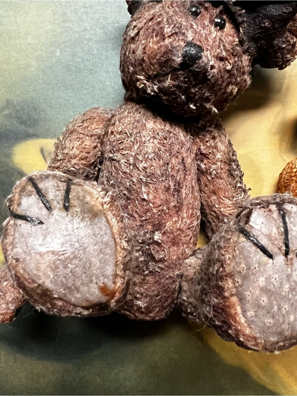 Three Bears - Picture 6 of 6